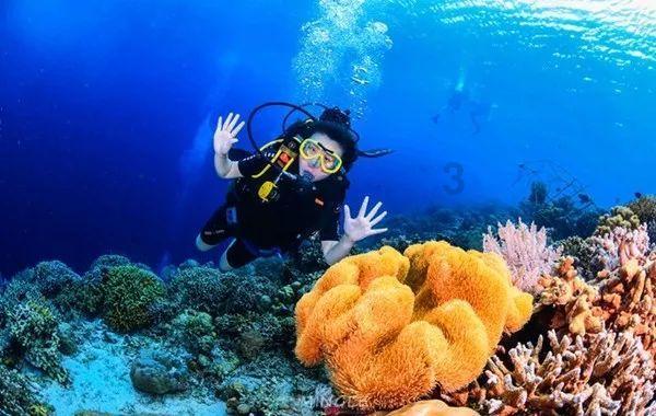影版《花千骨》首映遇冷,预测票房仅千万